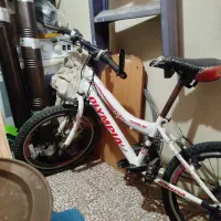 دوچرخه 20
