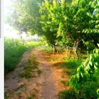 باغ-و-زمین-کشاورزی-تفرش