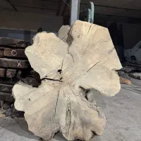 کارگاه جدید چوب و رزین در قم، میدان ولیعصر از آبان|استخدام هنری و رسانه|قم, بیست متری ولیعصر|دیوار