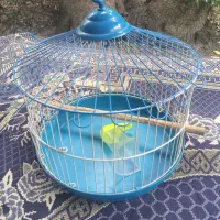 فروش قفس پرنده