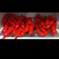 سوسیس و کالباس خانگی