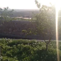 زمین در بافت روستا|پیشفروش املاک|ملکآباد, |دیوار