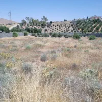 فروش-زمین-باغچه-دریمه-مجتمع-پردیس