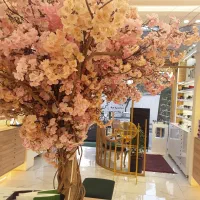 نیروی خانم خدمات