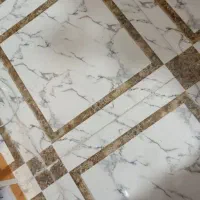 همکار خانم