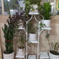 استند گل فلزی و۸ عدد گلدان سالم در حدنو