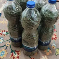 نعناع فلفلی خشک شده کاملا ارگانیک