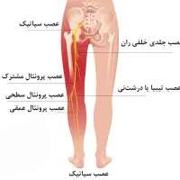 ماساژ درمانی