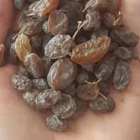 کشمش افتابی تمیز|خوردنی و آشامیدنی|قم, وادی السلام|دیوار
