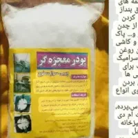پودر معجزه گر