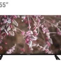 تلویزیون ال ای دی ۵۵ اسنوا پنل شکسته