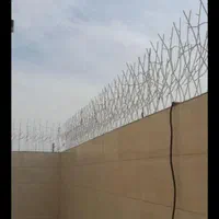 شاخ گوزنی از کارخانه