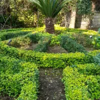 بازسازی باغچه و باغ قدیمه یا دست نخورده