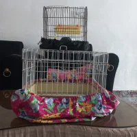 دوتا قفس پرنده ۱۵۰ تومان