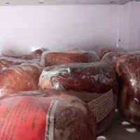 گوشت منجمد گاوی عمده و خورده