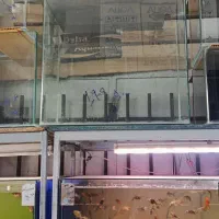 آکواریوم شیشه خم