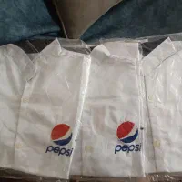 روپوش فست فود