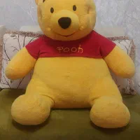 خرس بزرگ  pooh