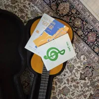 گیتار|گیتار، بیس، امپلیفایر|تهران, پونک|دیوار