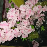 گل مصنوعی شکوفه گیلاس - ۳۰۰ شاخه با قیمت عالی|گل مصنوعی|مشهد, جانباز|دیوار