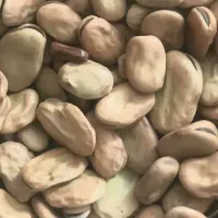 گمنه( للک ) ، گندم ، باقله