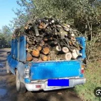 خرید فروش چوب از باغات وخانه های کلنگی|خدمات باغبانی و درختکاری|مرند, |دیوار