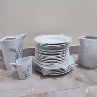 ظروف چینی نسترن