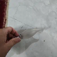 لامپ|لامپ و چراغ|قزوین, |دیوار