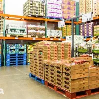 بازاریابی حضوری با حقوق عالی