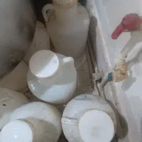 دبه|ظروف نگهدارنده، پلاستیکی، یکبارمصرف|مشهد, نوید|دیوار