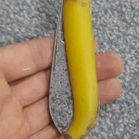 چاقو احمد آیتی قدیمی|کلکسیون اشیاء عتیقه|شهرکرد, |دیوار