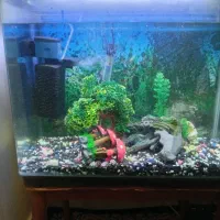 شیشه آکواریوم شرکتی خم