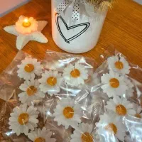 شمع بابونه و انواع مختلف|صنایع دستی و سایر لوازم تزئینی|شیراز, نصرآباد|دیوار