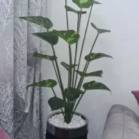 گل و گلدان مصنوعی پتوس با تخفیف