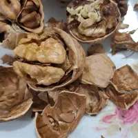 خشکبار بوانات|خوردنی و آشامیدنی|شیراز, دباغ خانه|دیوار