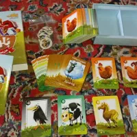 بازی فکری بلوفه|اسباببازی|قم, شهرک توانیر|دیوار