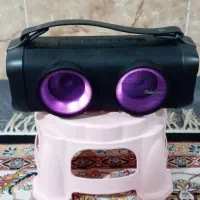 اسپیکر بیکارو مدل GF602|پخش‌کننده همراه|مشهد, نیزه|دیوار