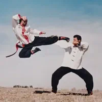 کونگ فو توا ورزشی هنرهای رزمی