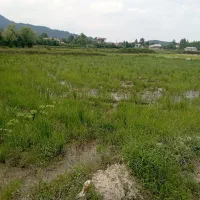 زمین مناسب سرمایه‌گذاری