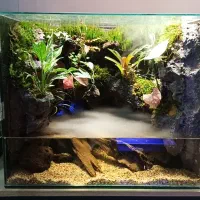 پالادریوم و تراریوم