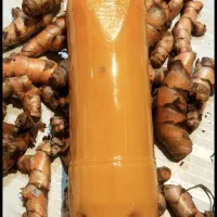 عصاره زرد چوبه تازه و زنجبیل تازه