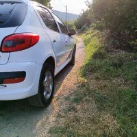 ۲۰۷ فرمون برقی کم کارکرد|خودرو سواری و وانت|شهریار, شهریار|دیوار