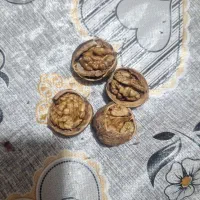 فروش گردو تویسرکان|خوردنی و آشامیدنی|پاکدشت, پاکدشت (مامازند)|دیوار