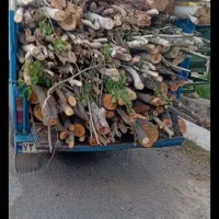 خرید انواع چوب های باغی و صنوبر با بالاترین قیمت