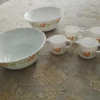 ارکوپال  کاسه سالاد 2عدد سوس خوری 4عدد