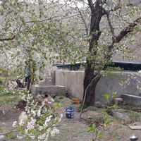 زمین باغی فروشی واقع در روستای مغان1000متر|فروش زمین و ملک کلنگی|مشهد, شهرک بهارستان|دیوار