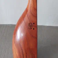 تنبور کاسه ای