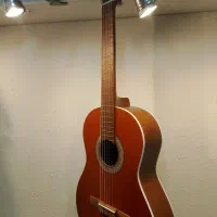 پارسیP40قیمت خرید با کاور|گیتار، بیس، امپلیفایر|شیراز, باغ تخت|دیوار