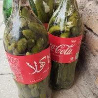 خیار شور تازه