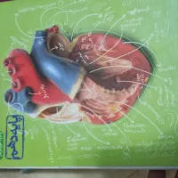 کتاب زیست شناسی  ای کیوگیلان استانه|کتاب و مجله آموزشی|آستانه اشرفیه, |دیوار